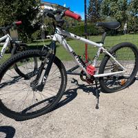 Bicicletta 24’ ragazzo