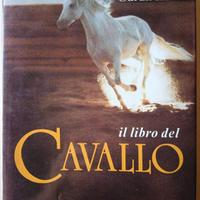 Il libro del Cavallo