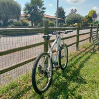 bici mtb 26 pollici