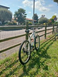 bici mtb 26 pollici