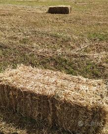 Balle  di  fieno