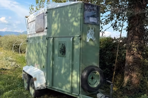 trailer trasporto cavalli 