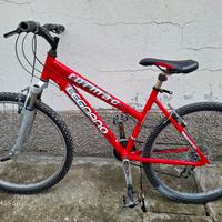 mtb usato