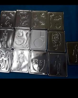 Piastre anatomiche del corpo umano d'epoca 