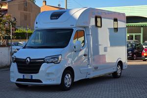 Renault master trasporto cavalli
