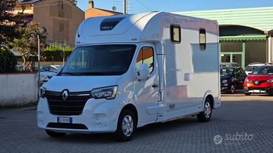 Renault master trasporto cavalli