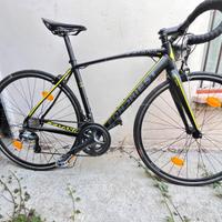 Bici Frondiest
