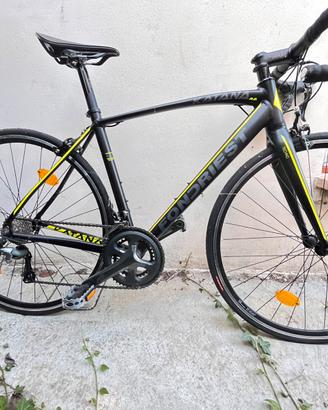 Bici Frondiest