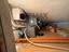 Immagine 19
