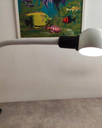 lampada da tavolo 