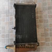 radiatore lancia Y