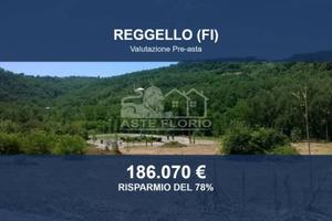 Immobile in asta di 30130 m² a Reggello