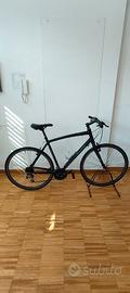 Bianchi Camaleonte C-Sport 1 – Taglia 55