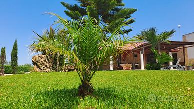 Villetta relax l'oasi del benessere