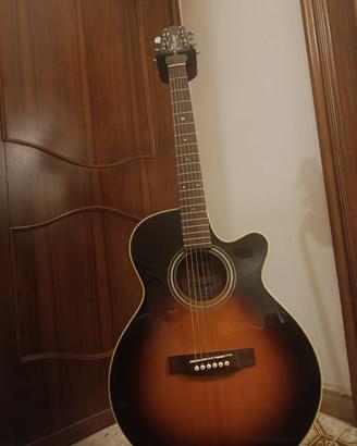 takamine 