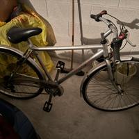 Bici da uomo