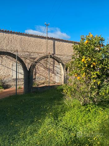 Zona La Landrigga ampio terreno-uliveto con casale