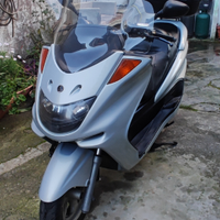 Majesty 250