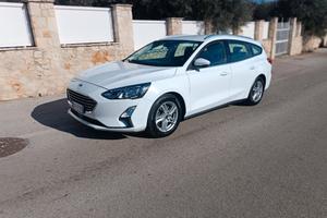 Ford Focus 1.5 EcoBlue 120 CV automatico SW Busine