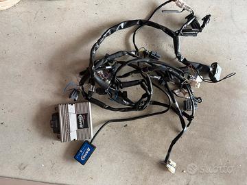 Kit centralina rapidbike evo