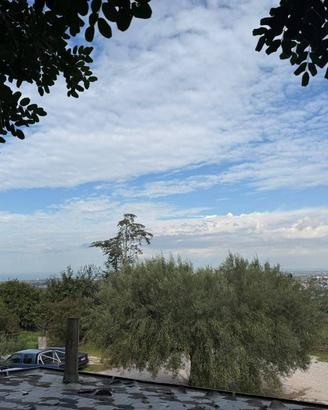 Attività / Licenza di 1310 m² con più di 5 locali 
