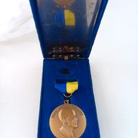 Medaglia Paul Hallis Fellow 