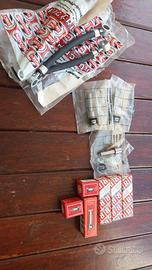 polverizzatori ruggerini 