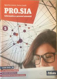 Pro.Sia. Informatica e processi aziendali 5