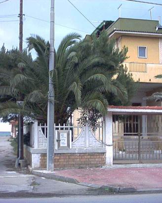 GARGANO in RIVA al MARE