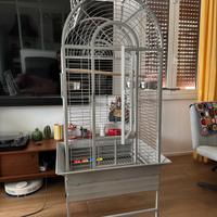 Voliera Gabbia Pappagalli