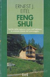 FENG  SHUI