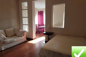 Ampio Monolocale Ristrutturato Centro 50 Mq