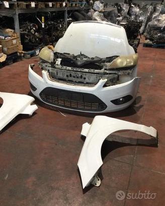 Musata ford focus anno 2011