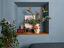 Immagine 18