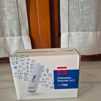 CHIAVETTA INTERNET 42.2