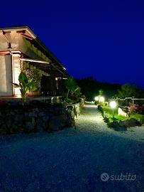 Ultime Disponibilità A Marina di Camerota