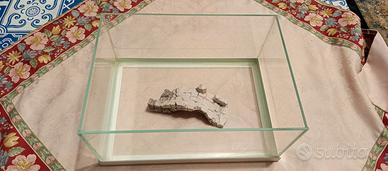 tartarughiera o piccolo acquario 