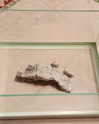 tartarughiera o piccolo acquario 