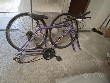 bici da uomo