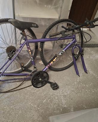 bici da uomo