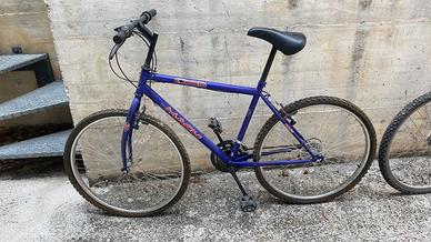 bicicletta