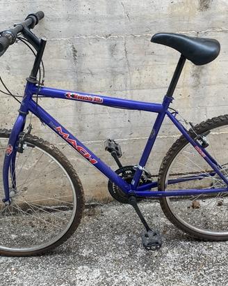 bicicletta