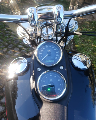 Harley-Davidson Low Rider TUTTA ORIGINALE