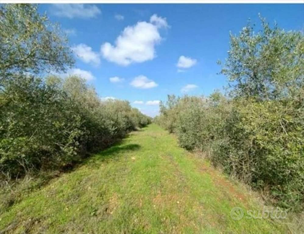 Immobile in asta di 22562 m² a Cavallino - Vista 4