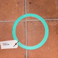 Gasket Ring Klingersil C-4430 (256 / 215 x 2 mm)