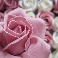 rose di sapone 
