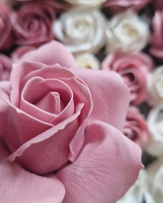 rose di sapone 