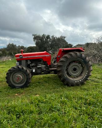 Massey Ferguson