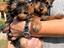 Immagine 3