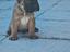 Immagine 4